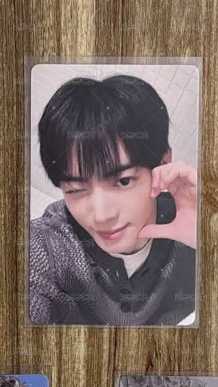 清涼學長振