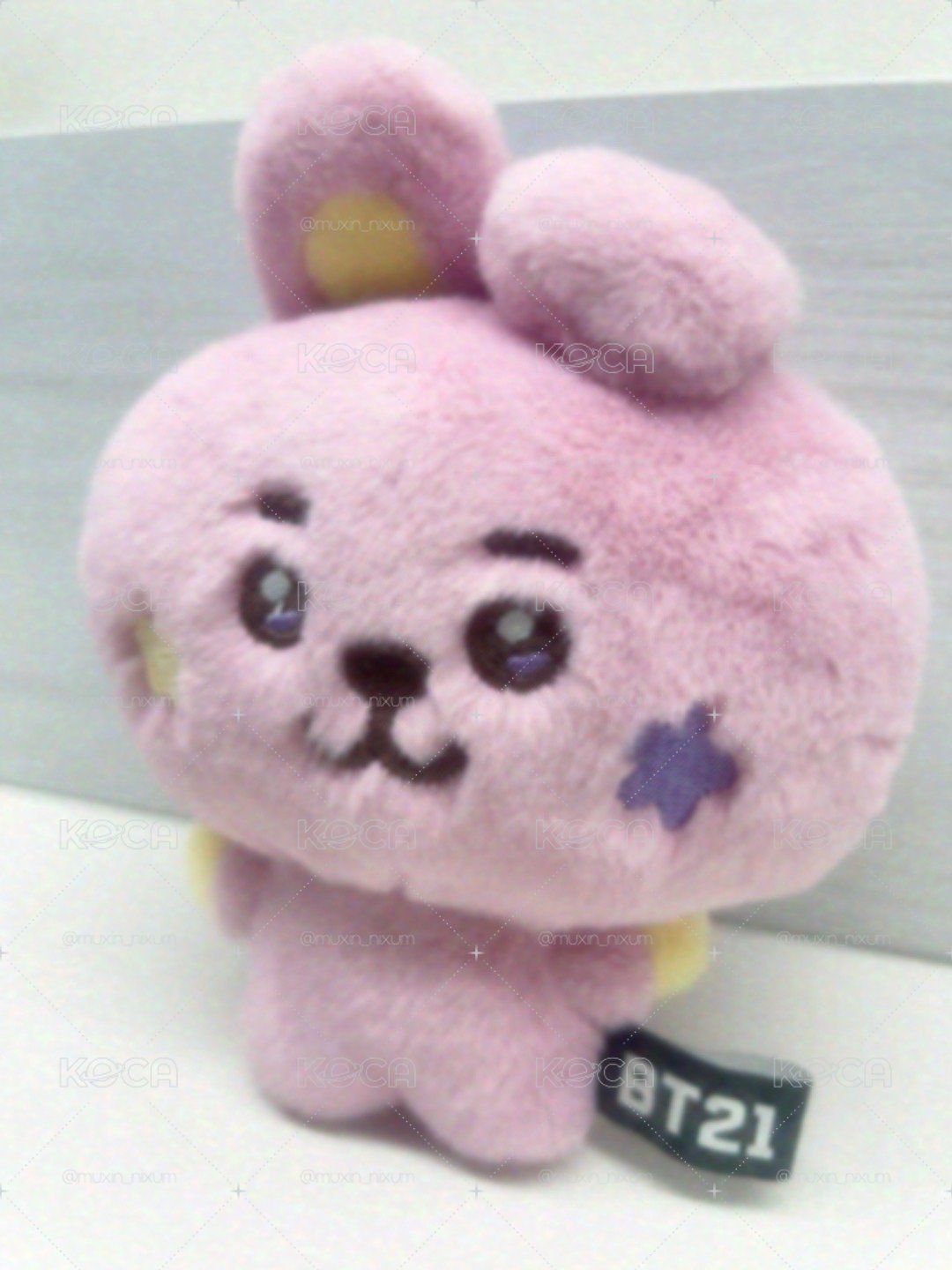 流星cooky!
