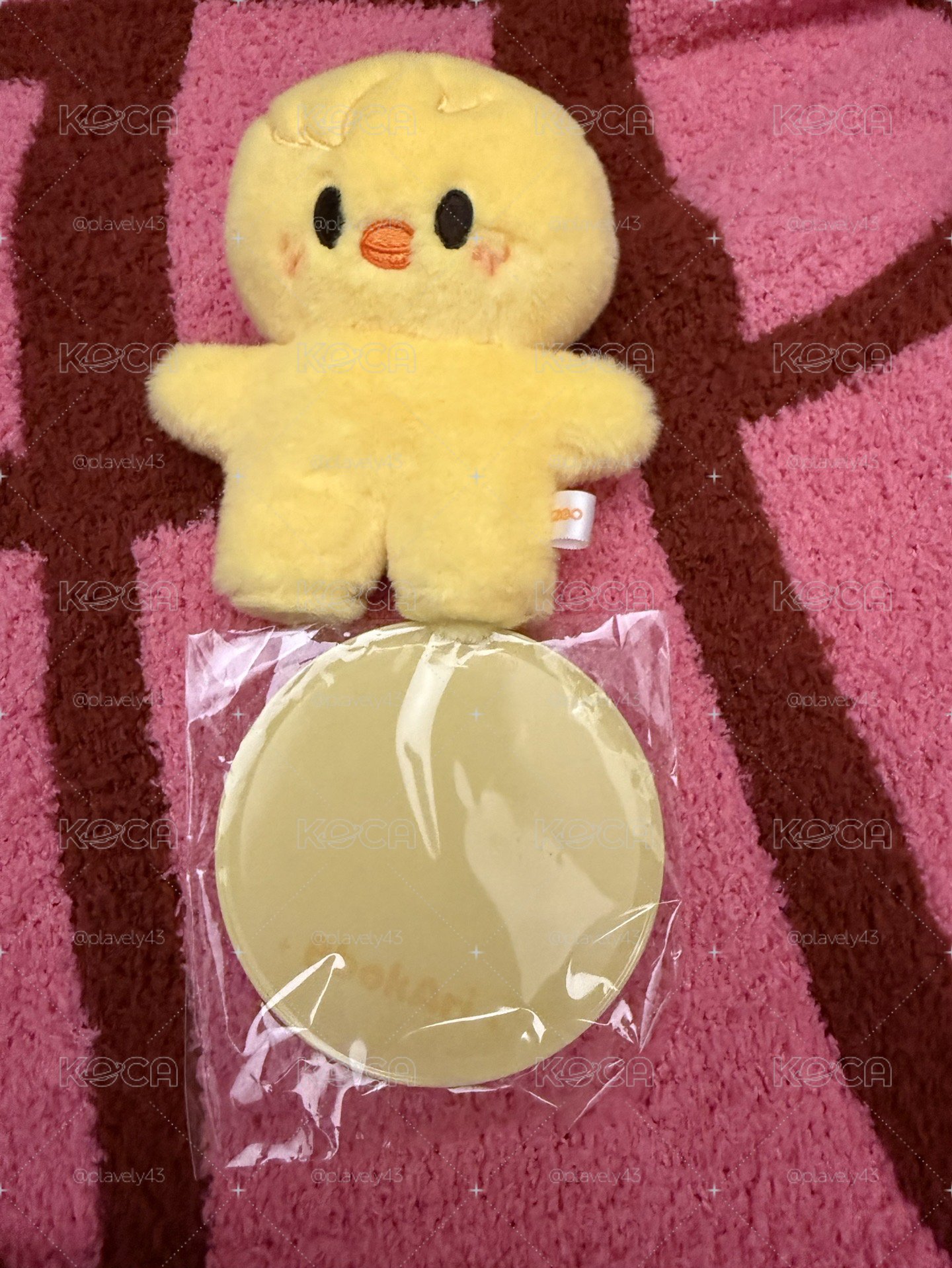 🐥站娃菲沒有原袋
