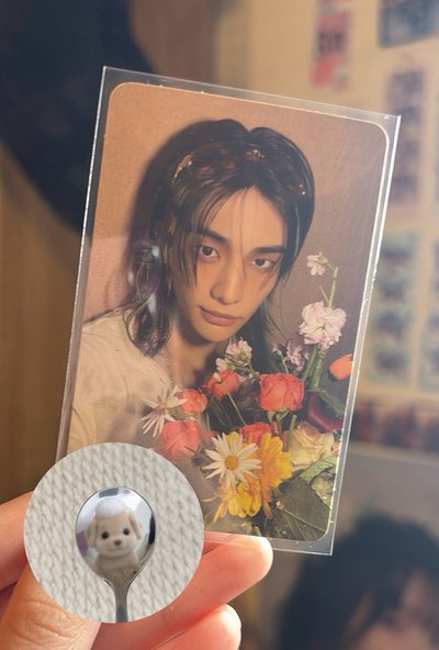 拿花辰迷你盤