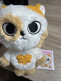 成淏（直出）