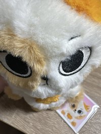 成淏（綁出2000綁350）