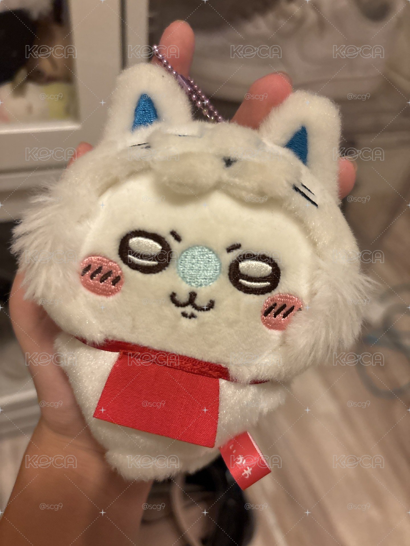 𐙚⋆˚小桃飛鼠