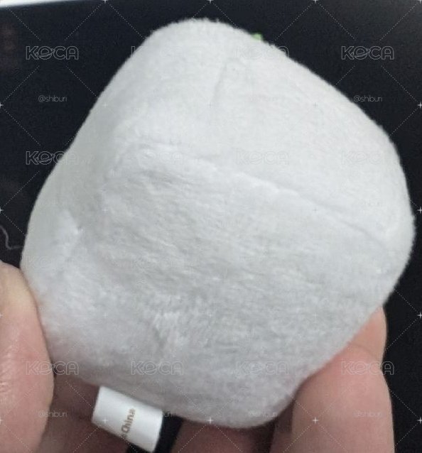 小木棒娃 附特典卡
