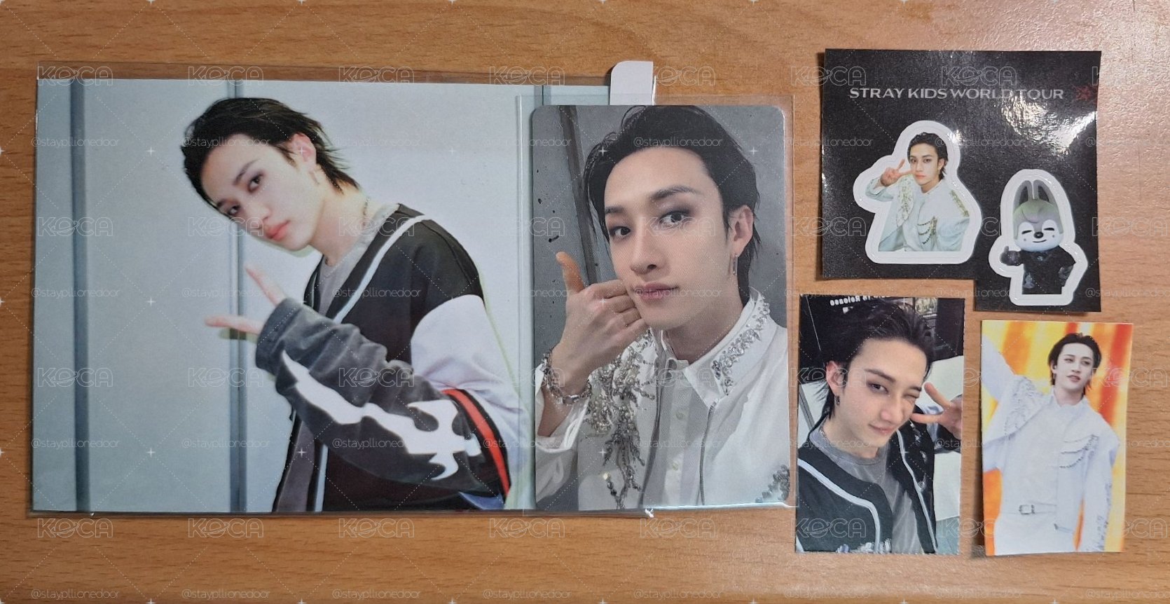 燦妮dominATE DVD set. 🐺