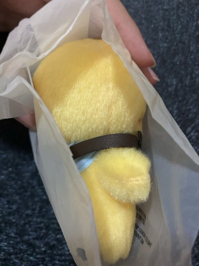 飛行娃菲