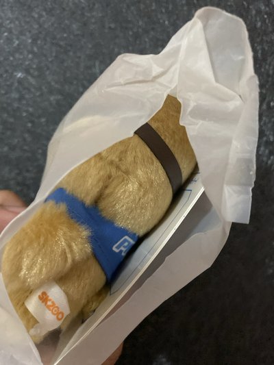 飛行娃城