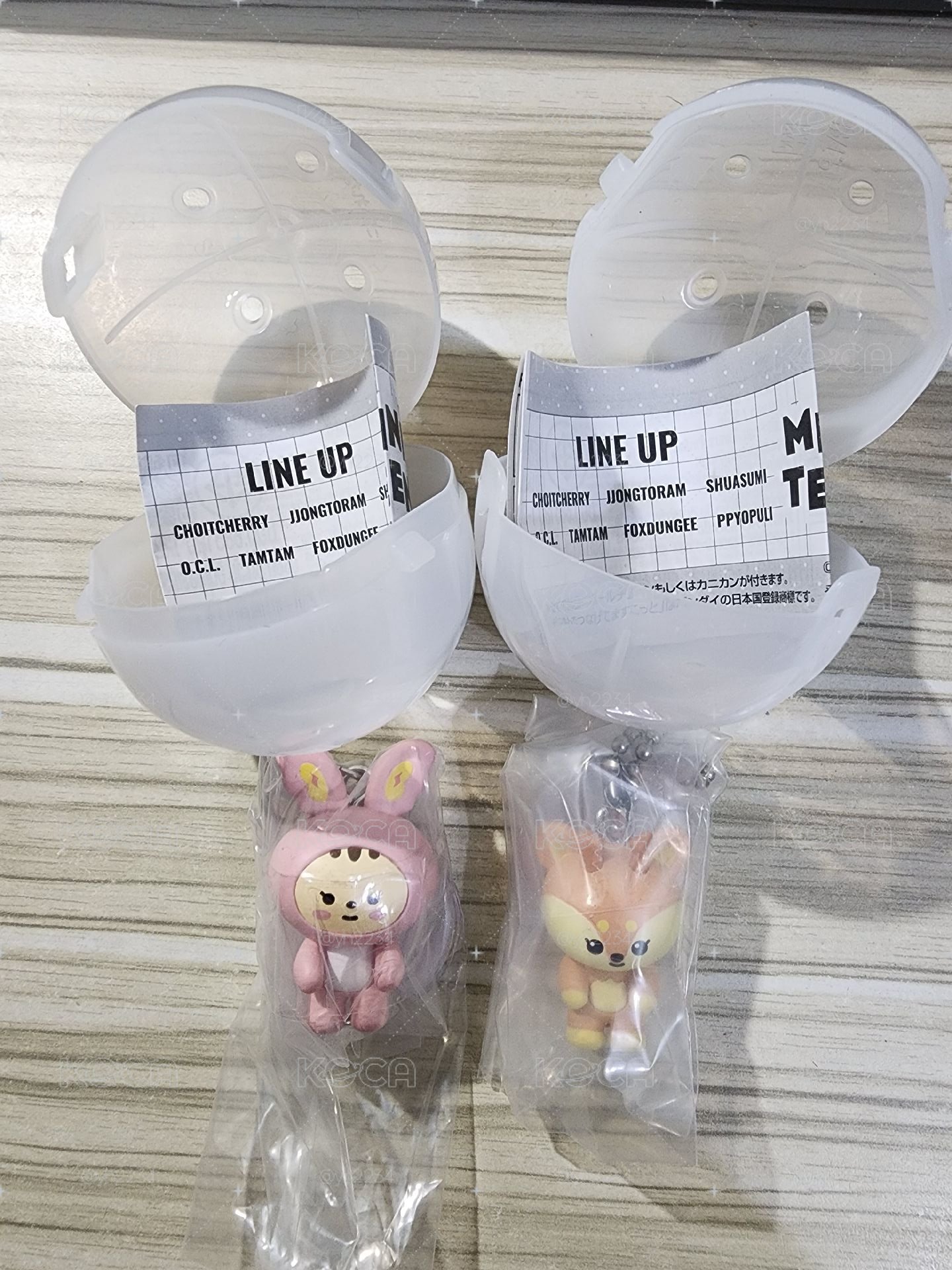 淨漢 知秀 Miniteen萬代扭蛋