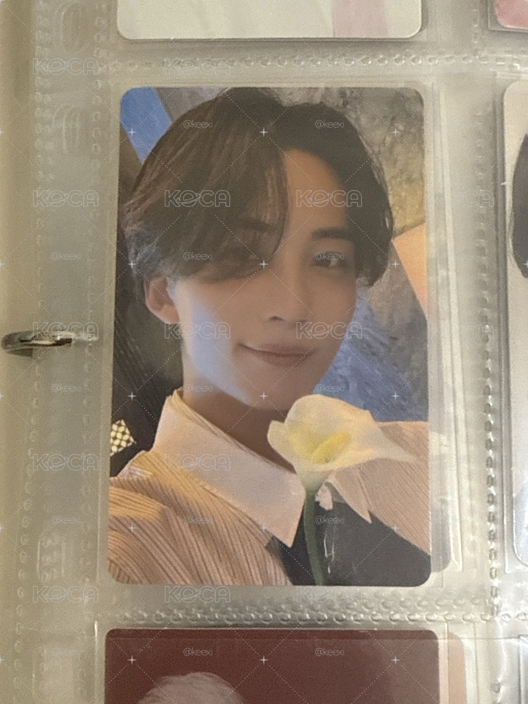SVT 漢
