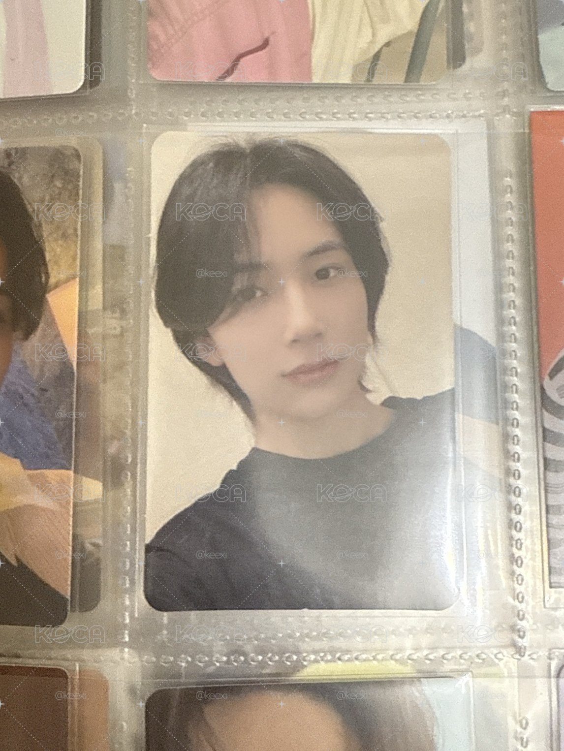 SVT 漢