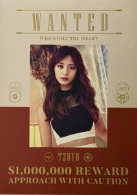 17FM DVD 明信片 