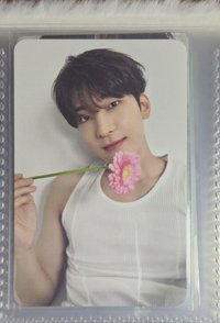 精選專 專輯卡 CARAT ver. 圓