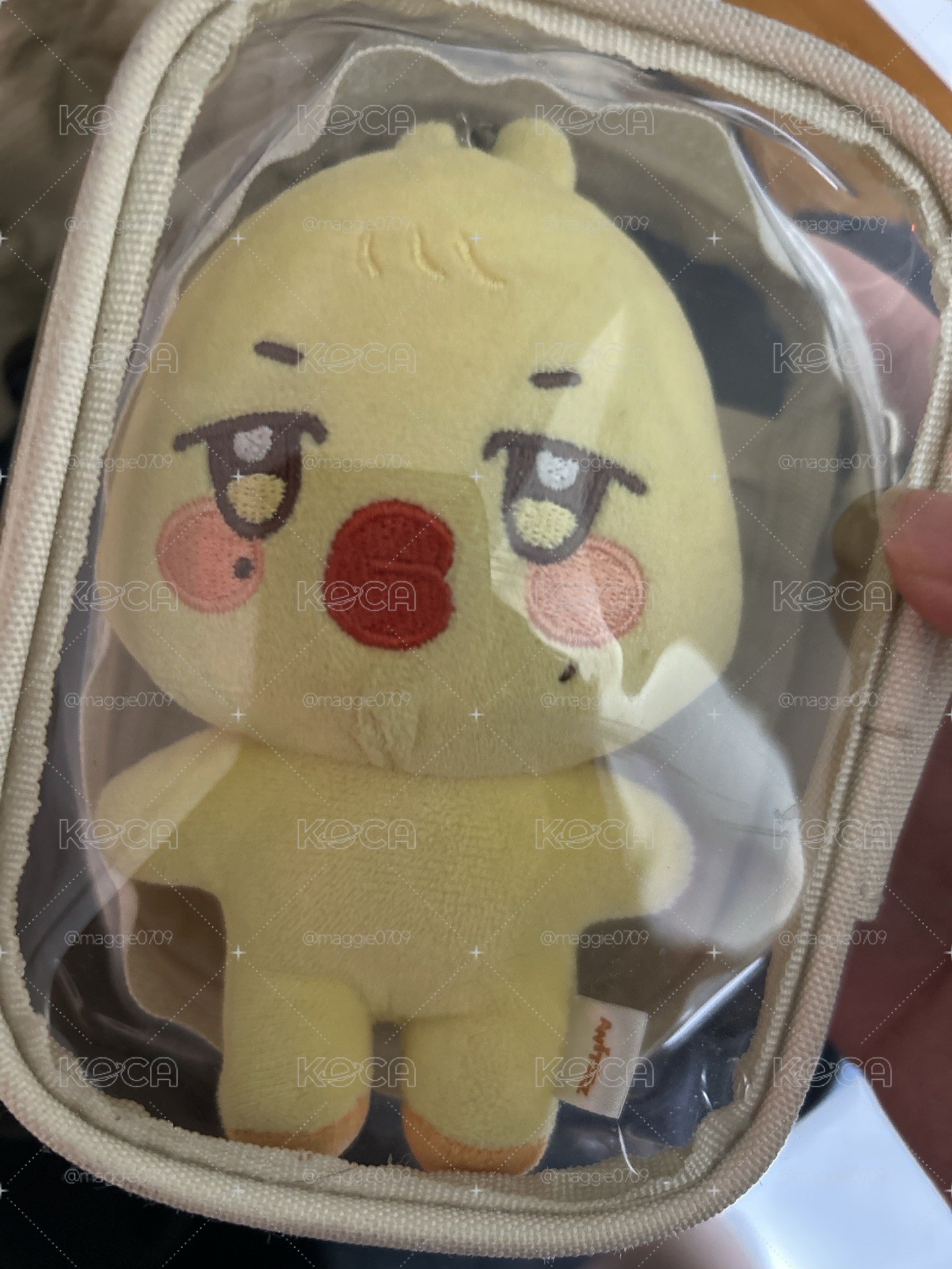 小黃雞 