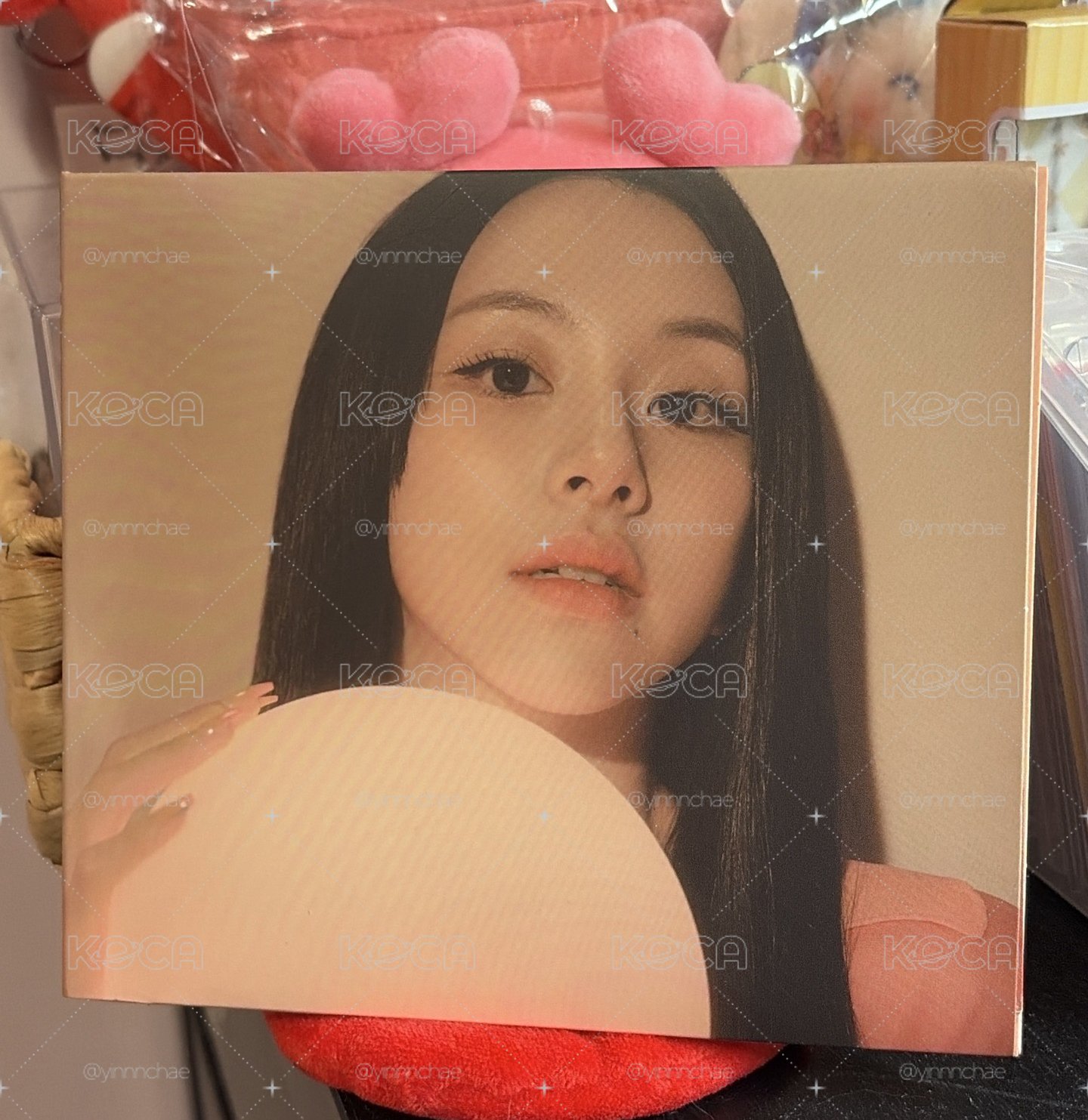 彩瑛迷13單封
