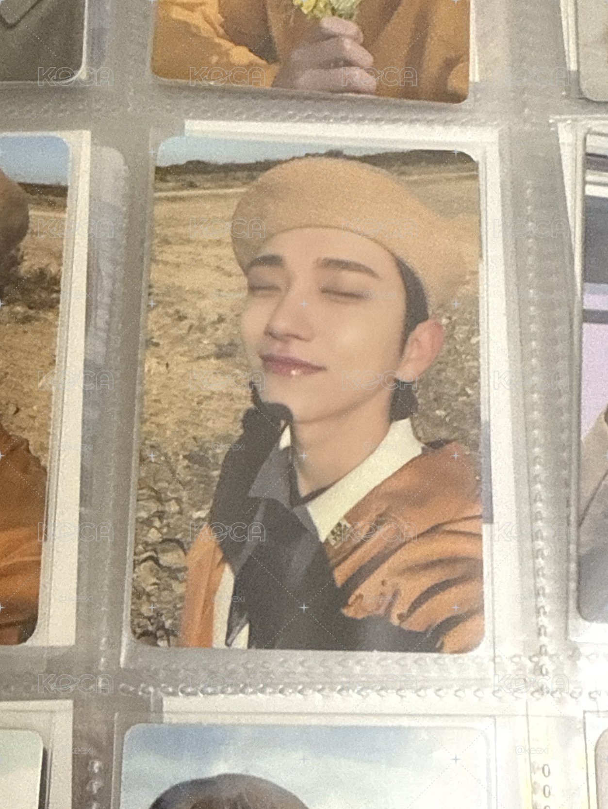 SVT 秀