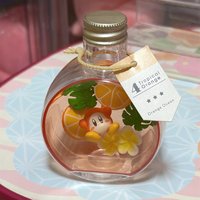 4號瓦豆魯迪