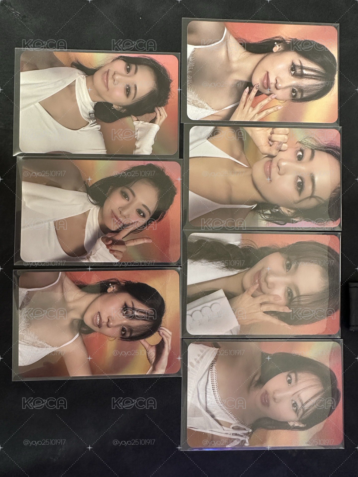 迷13專卡小盤
