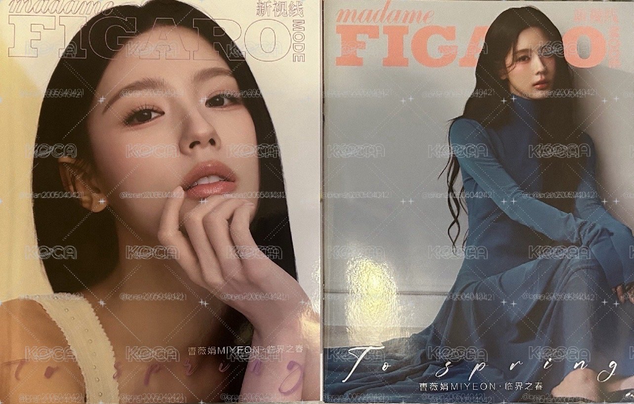 麵 Figaro雜誌 2月（兩本）