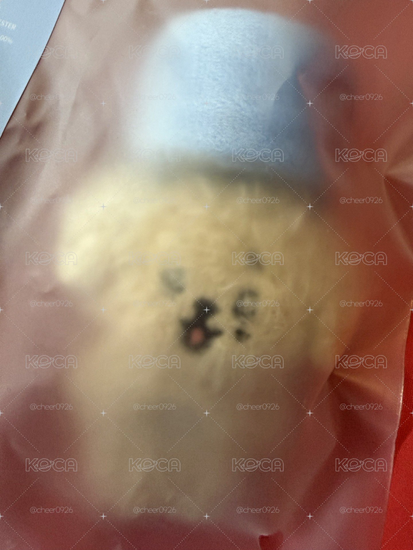 現貨速出 MINITEEN 手燈吊飾 DOA