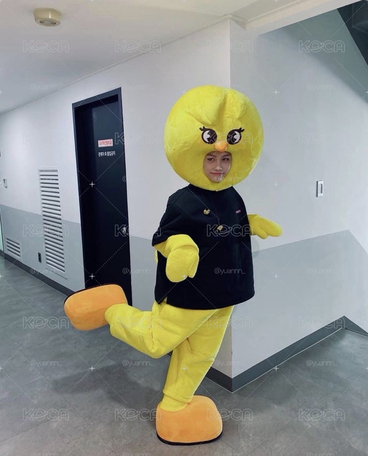 菲小卡