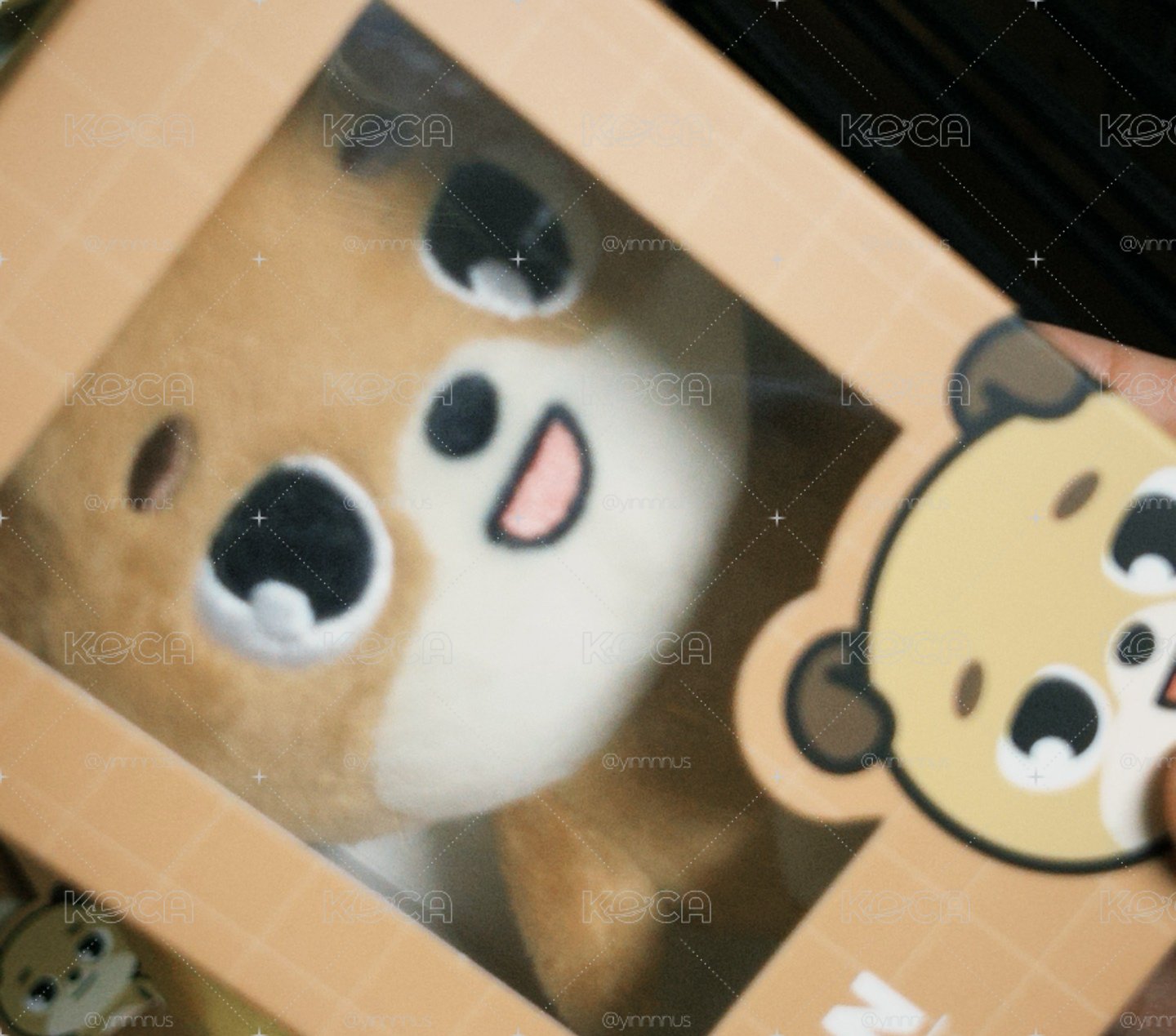 🐶娃