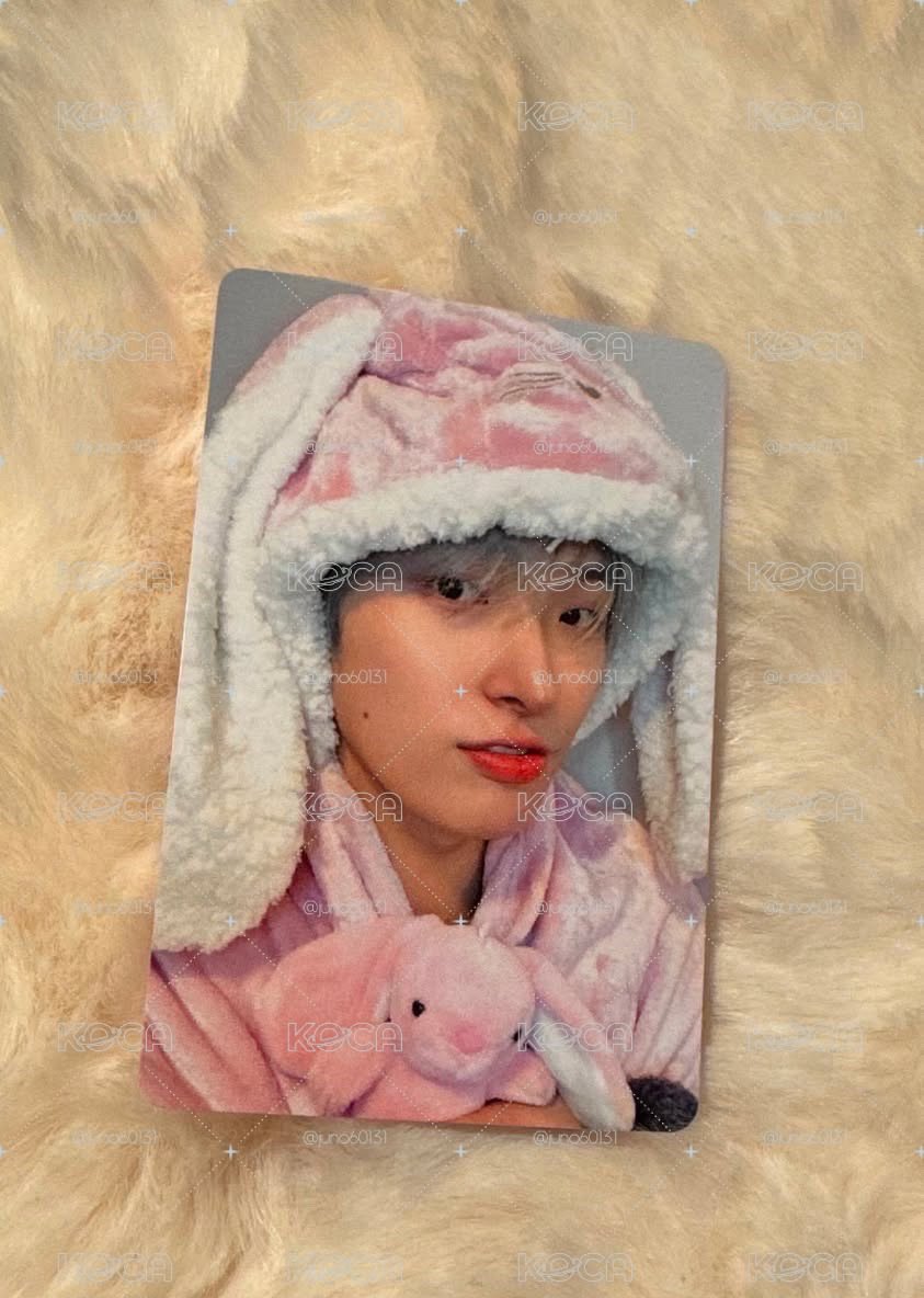 夢中情兔 琦