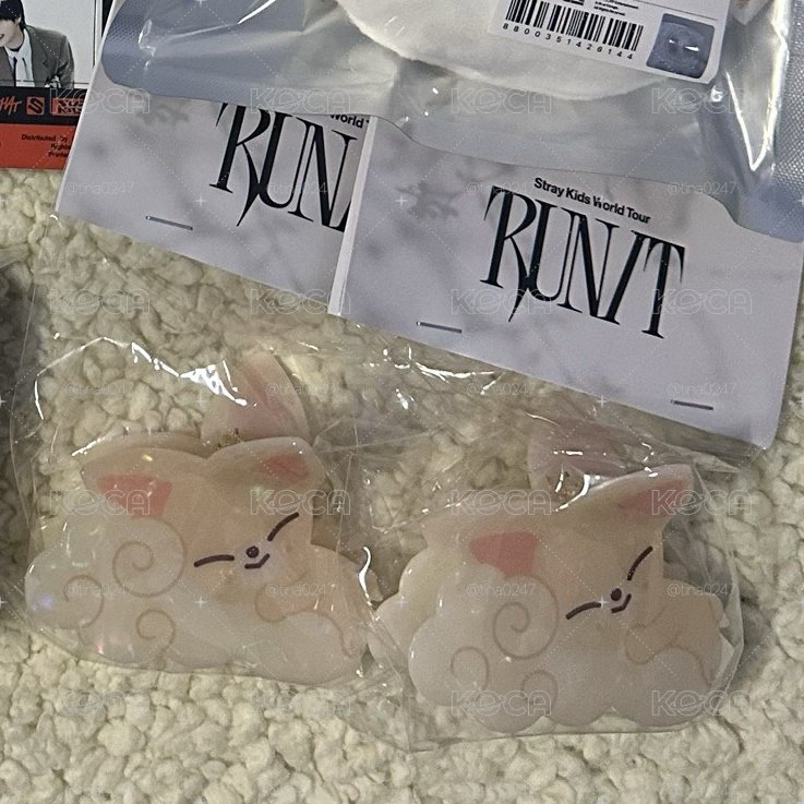 寅福西尼髮夾 全新未拆