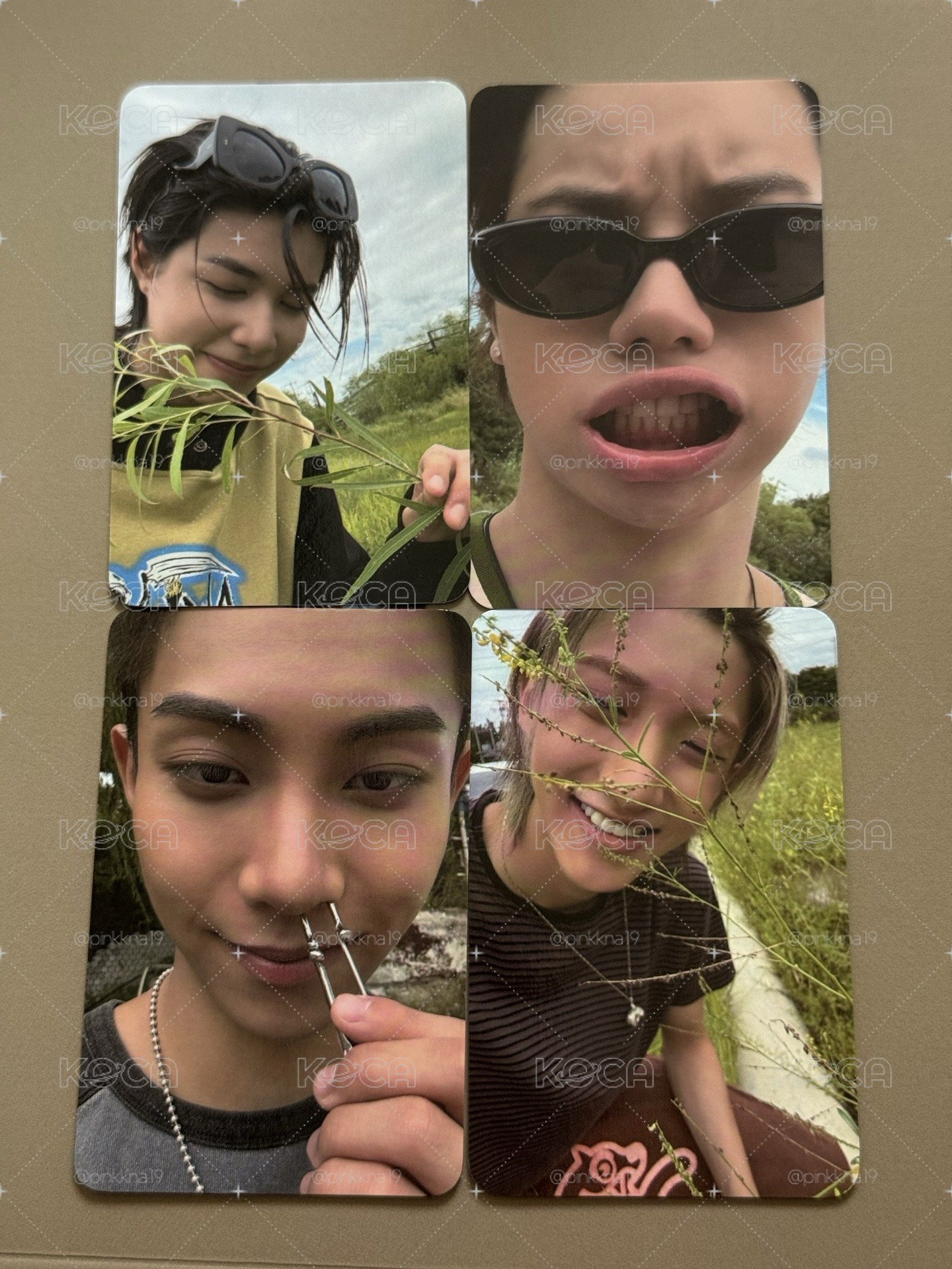 龍蝦貼紙書
