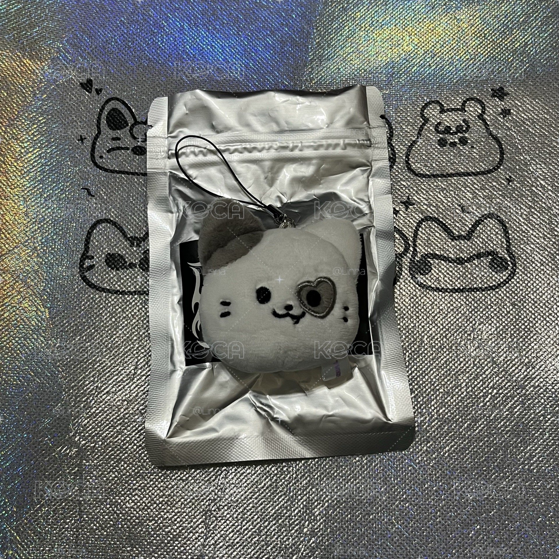 三巡原皮志