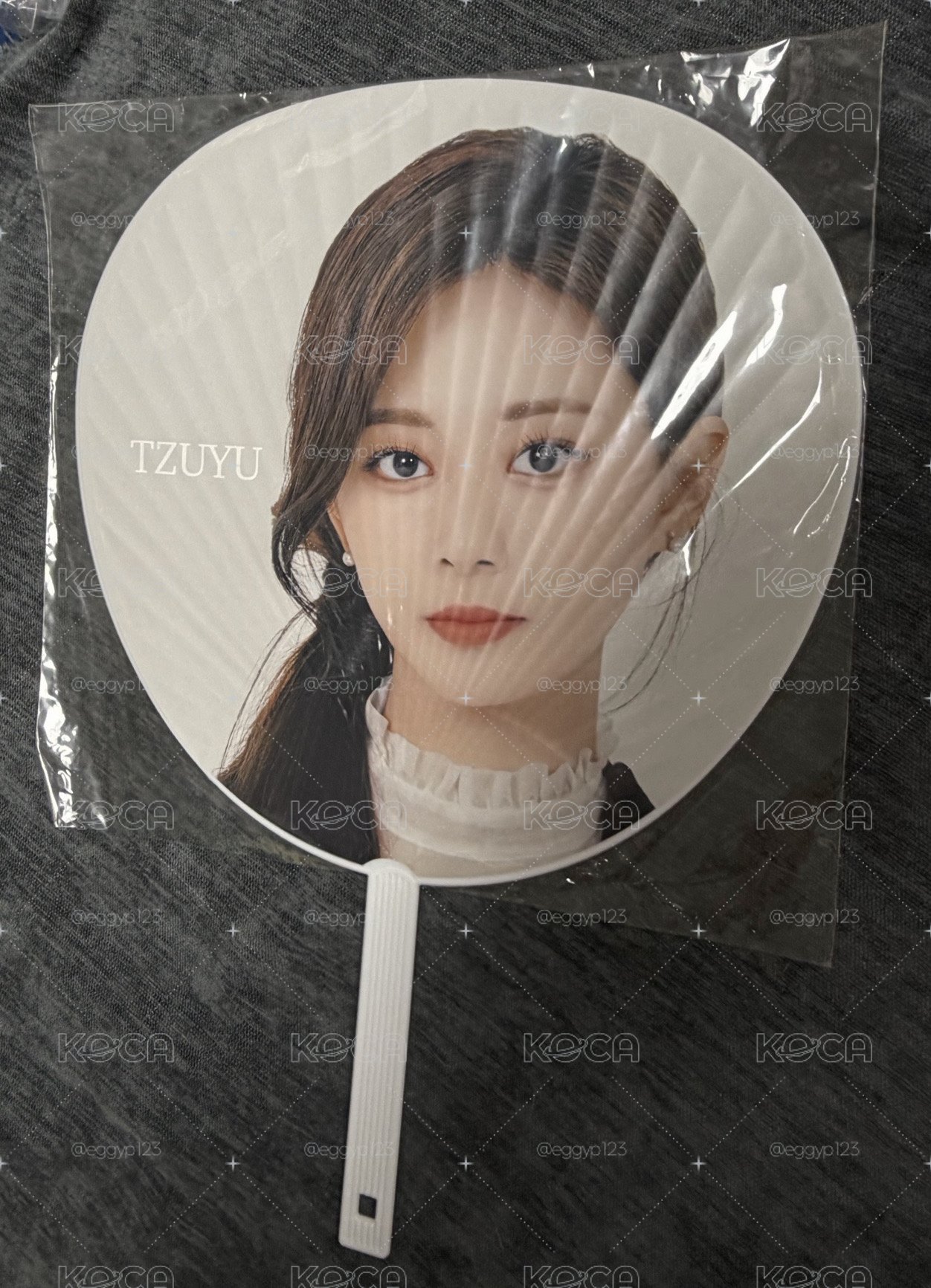 4巡 大王扇 子