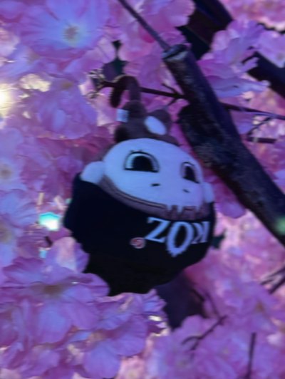 盲盒/公仔