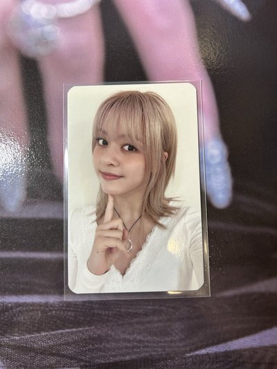 🍊入場卡莉嫄薛友圭