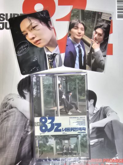 83z PROMISE 