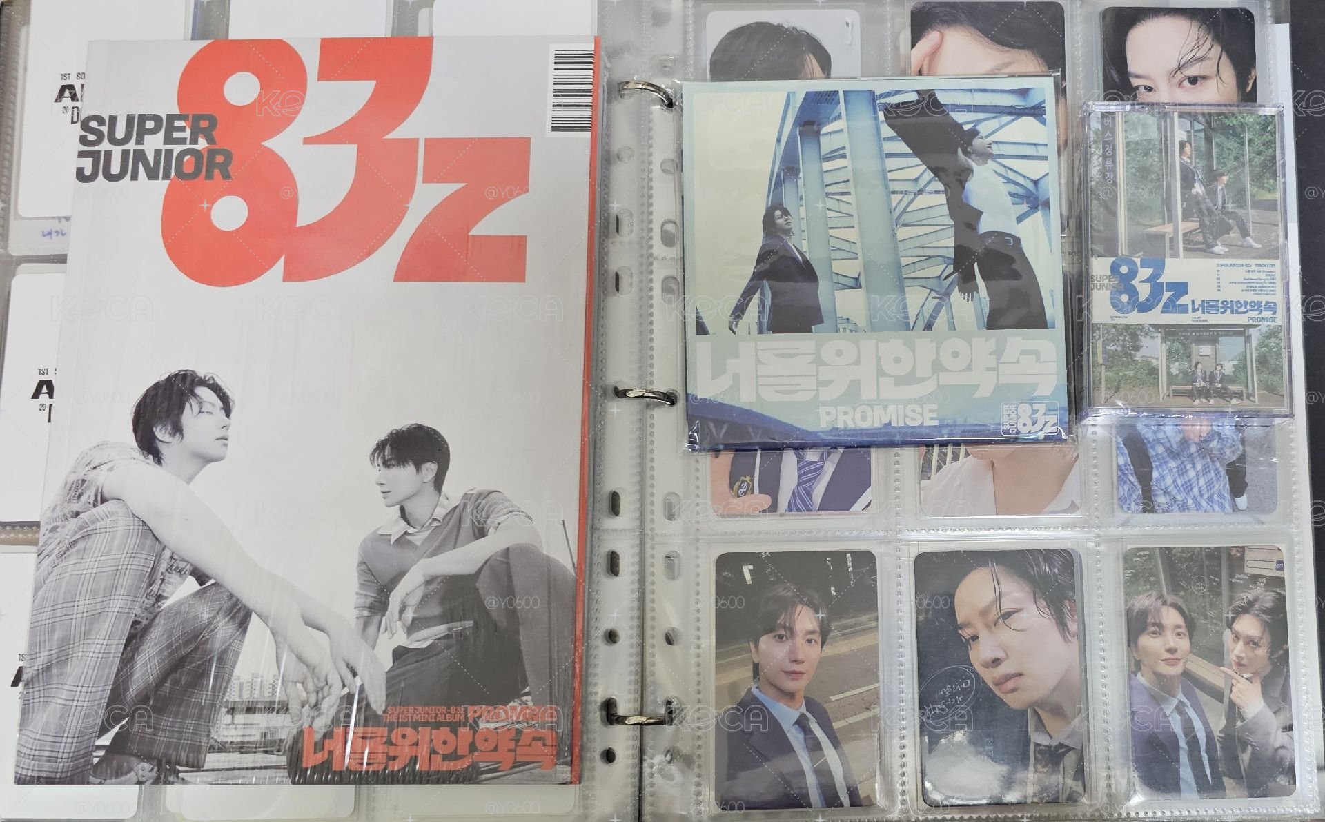 83z PROMISE 