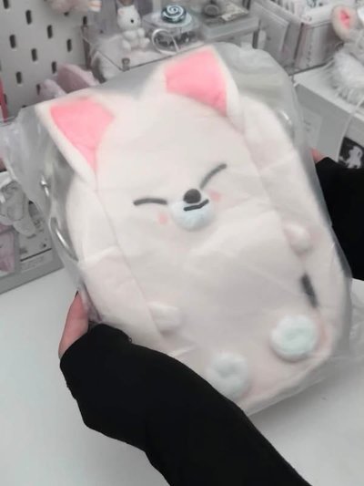 𝐬𝐭𝐫𝐚𝐲𝐤𝐢𝐝𝐬  現貨寅手燈提袋直出🎀