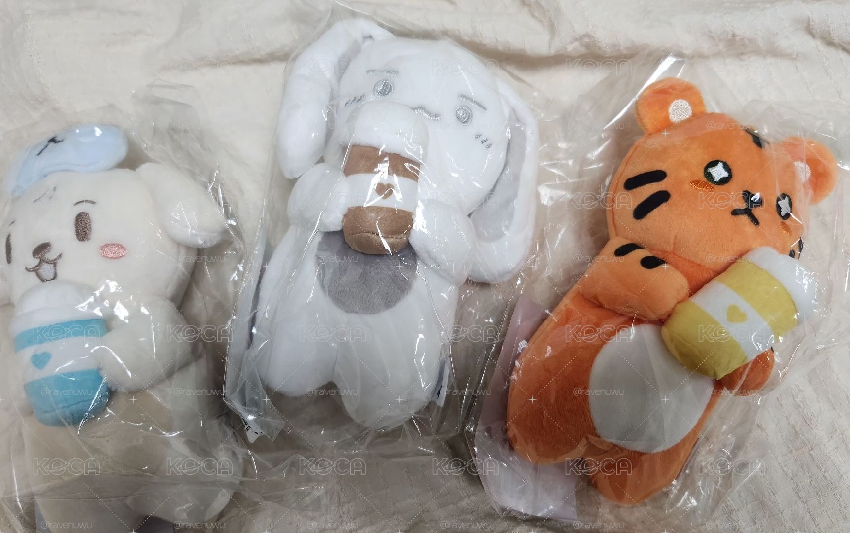 IYF 亞巡杯套 含卡