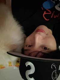 貓貓愛好者