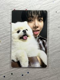 小狗明