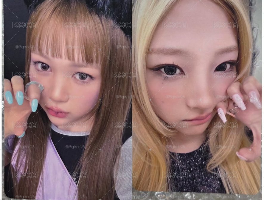全新未拆 + 特典卡