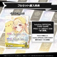 奏2025誕生日紀念ホロカpr卡
