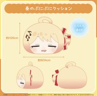 奏2025誕生日紀念軟乎乎抱枕