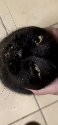 煤氣罐🐈‍⬛