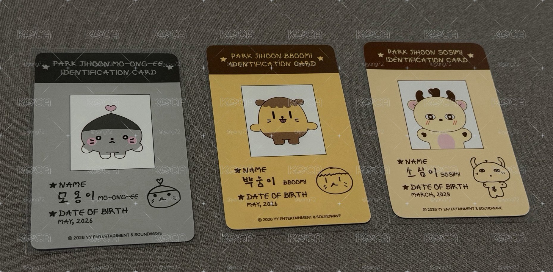 現貨 朴志訓小夥伴身分證 三張不拆