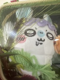 小桃