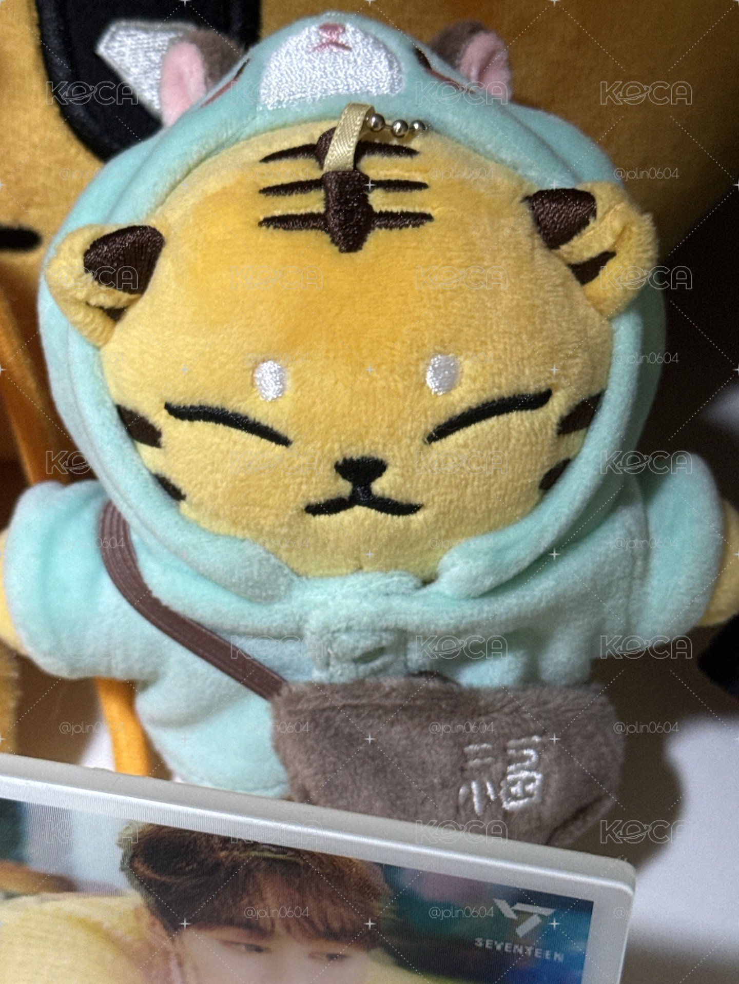 眈眈