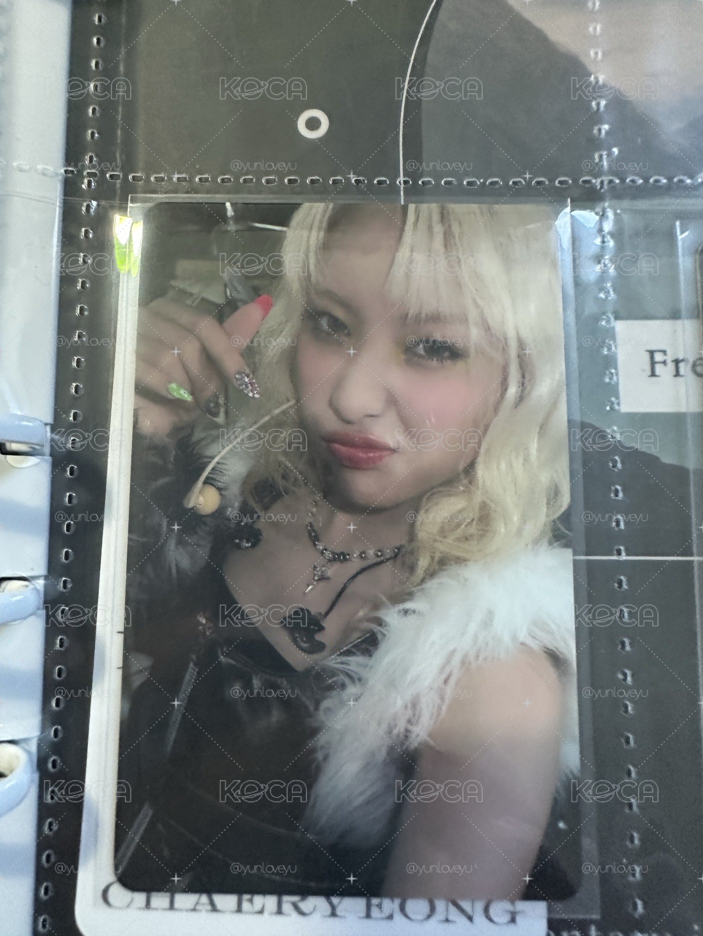 maya特典