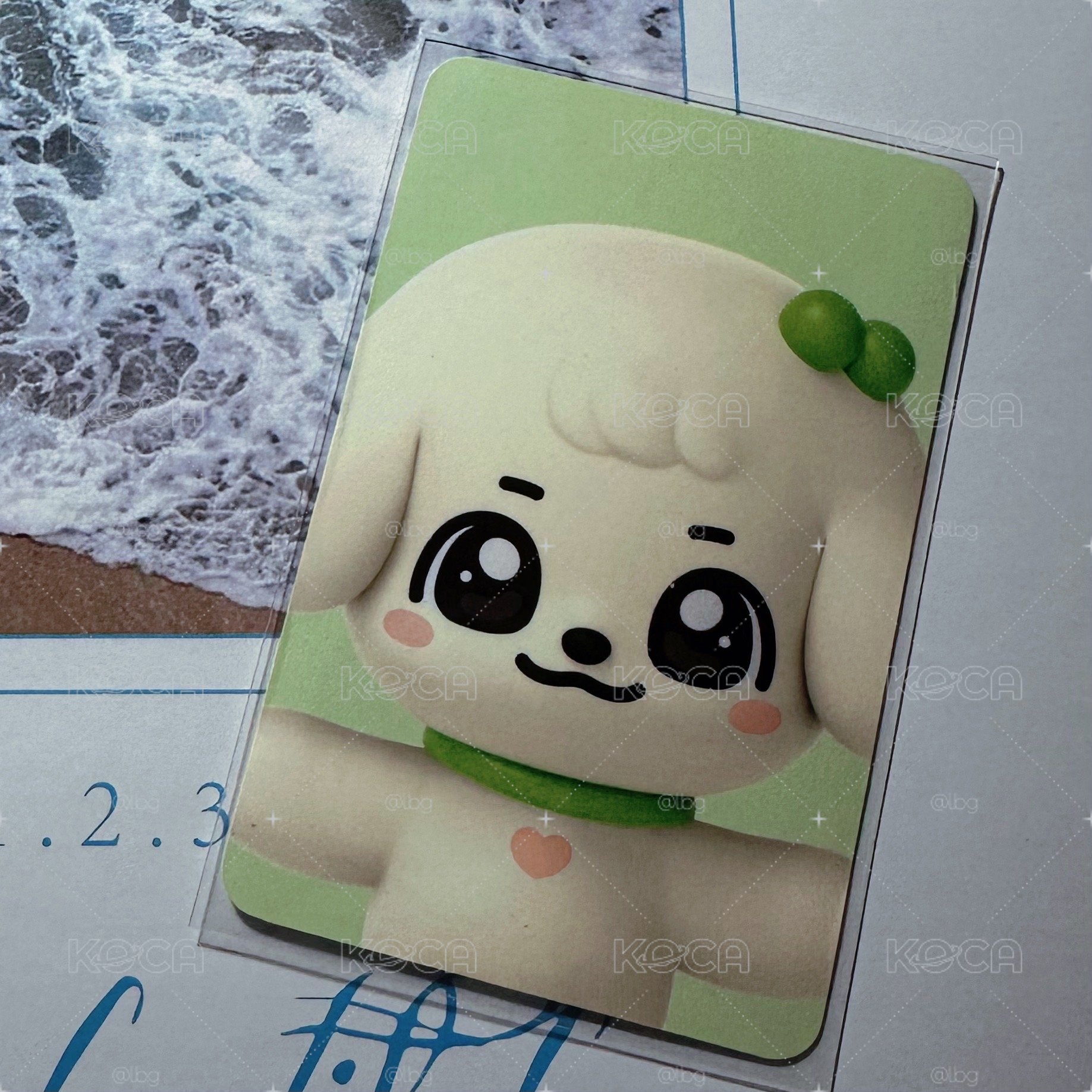 GANGANJI MINIVE快閃 卡冊卡