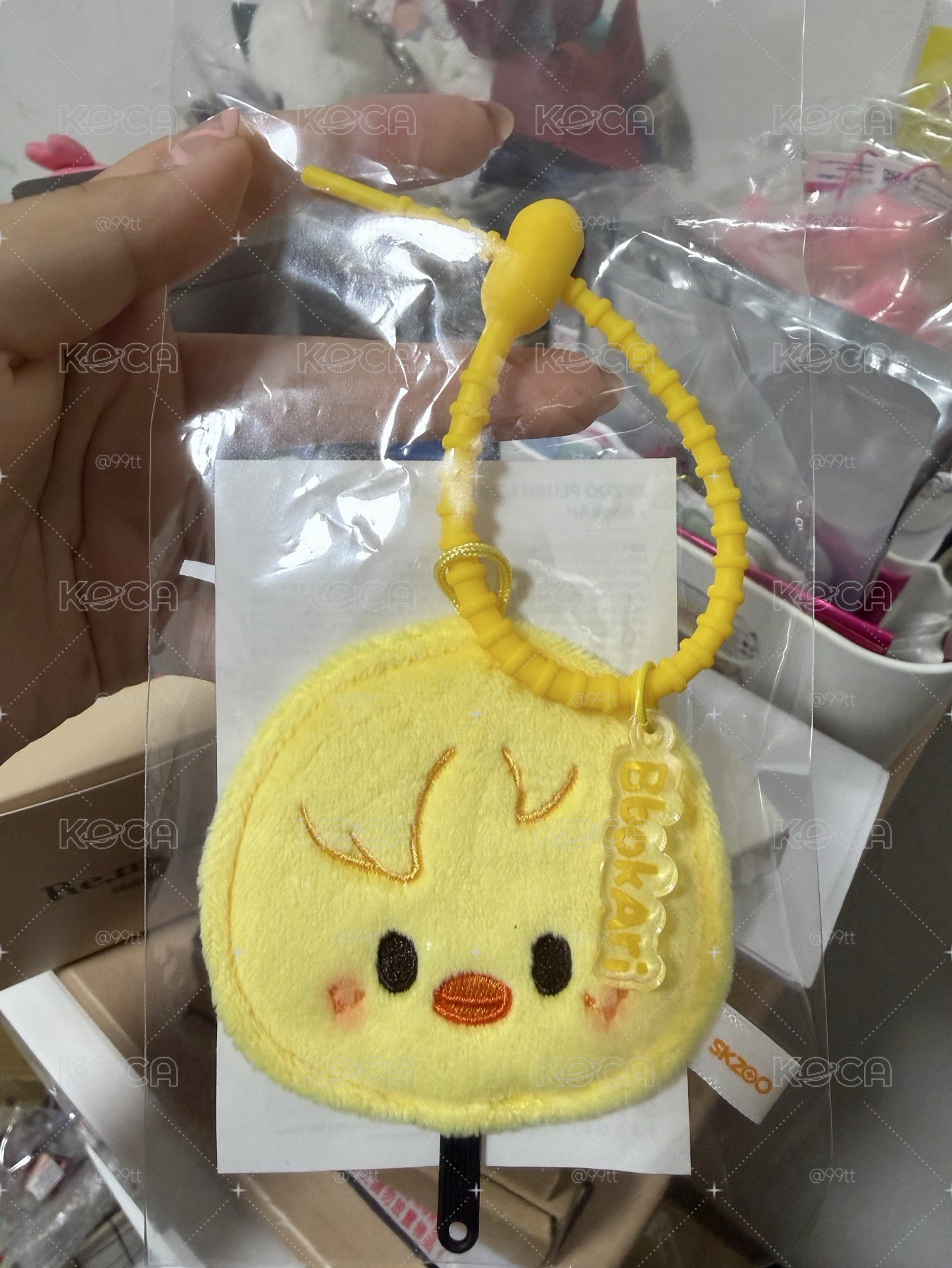 菲小扇
