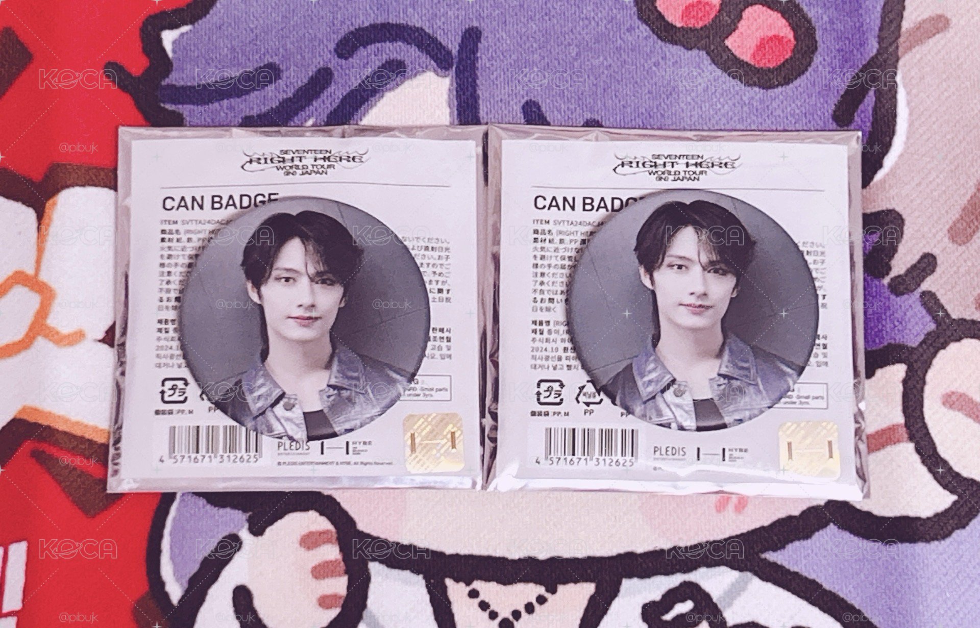 SEVENTEEN RIGHT HERE IN JAPAN 徽章 俊