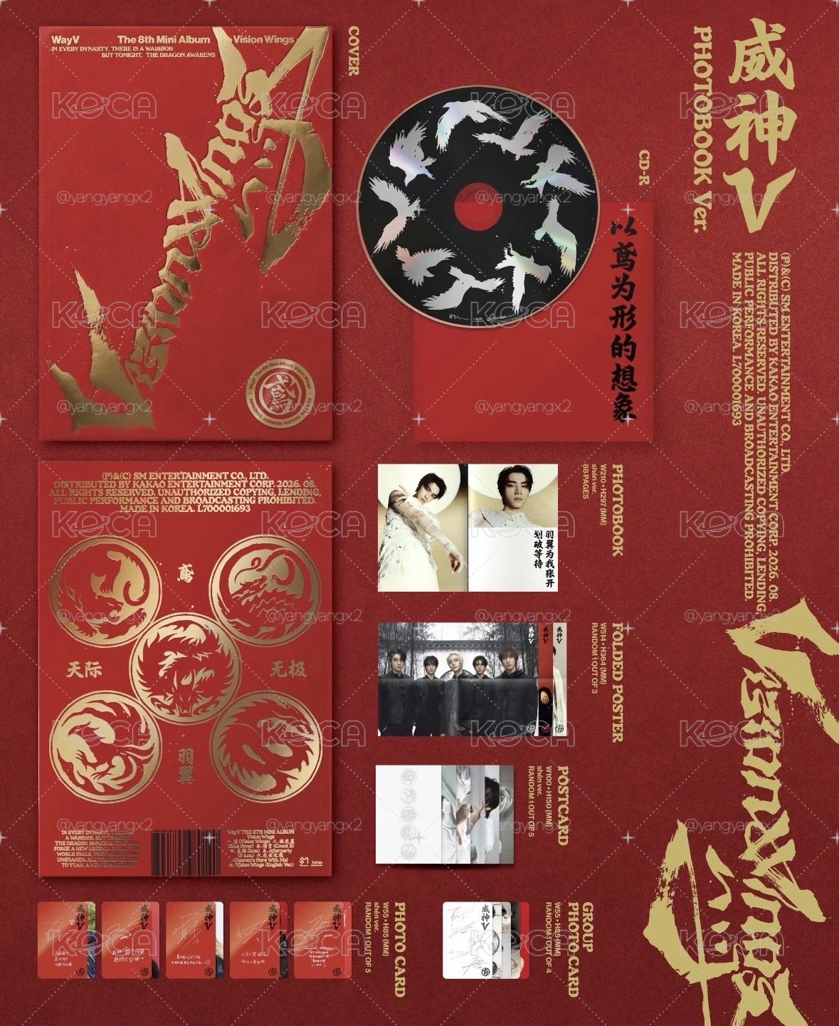 Vision Wings｜未拆專｜（非現）